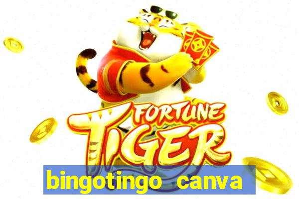 bingotingo canva pro gratis